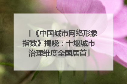 《中国城市网络形象指数》揭晓：十堰城市治理维度全国居首