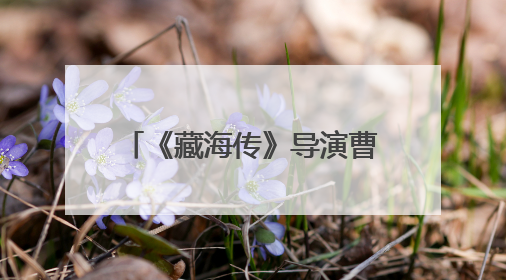 《藏海传》导演曹译文：肖战赋予藏海“致命”吸引力
