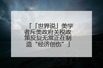「世界说」美学者斥美政府关税政策反复无常正在制造“经济创伤”