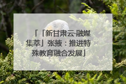 「新甘肃云·融媒集萃」张掖：推进特殊教育融合发展