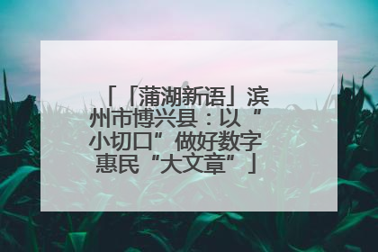 「蒲湖新语」滨州市博兴县：以“小切口”做好数字惠民“大文章”