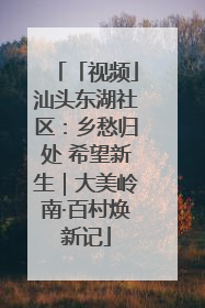 「视频」汕头东湖社区：乡愁归处 希望新生｜大美岭南·百村焕新记