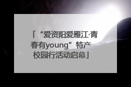 “爱资阳爱雁江·青春有young”特产校园行活动启幕