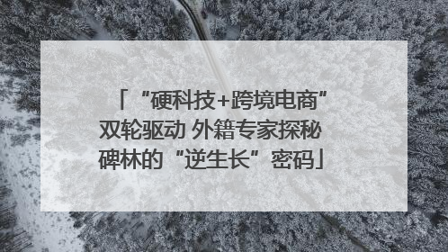“硬科技+跨境电商”双轮驱动 外籍专家探秘碑林的“逆生长”密码