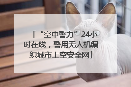 “空中警力”24小时在线，警用无人机编织城市上空安全网