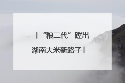 “粮二代”蹚出湖南大米新路子