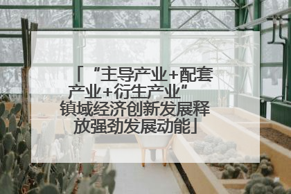 “主导产业+配套产业+衍生产业” 镇域经济创新发展释放强劲发展动能