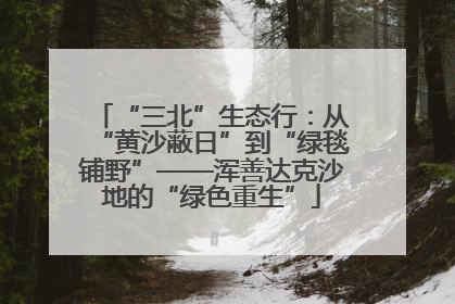 “三北”生态行：从“黄沙蔽日”到“绿毯铺野”——浑善达克沙地的“绿色重生”