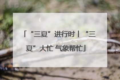 “三夏”进行时丨“三夏”大忙 气象帮忙