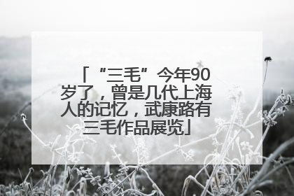 “三毛”今年90岁了，曾是几代上海人的记忆，武康路有三毛作品展览