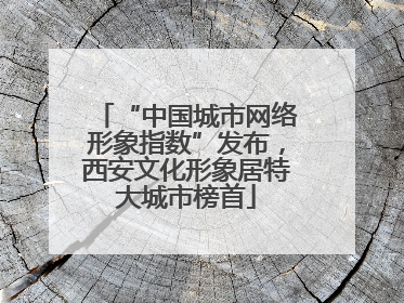 “中国城市网络形象指数”发布，西安文化形象居特大城市榜首