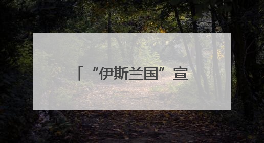 “伊斯兰国”宣称对叙利亚新政权发动首次袭击