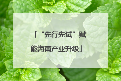 “先行先试”赋能海南产业升级