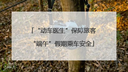 “动车医生”保障旅客“端午”假期乘车安全