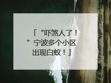 “吓煞人了！”宁波多个小区出现白蚁！