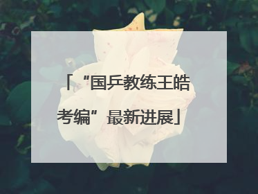 “国乒教练王皓考编”最新进展