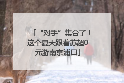 “对手”集合了！这个夏天跟着苏超0元游南京浦口