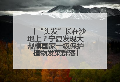 “头发”长在沙地上？宁夏发现大规模国家一级保护植物发菜群落
