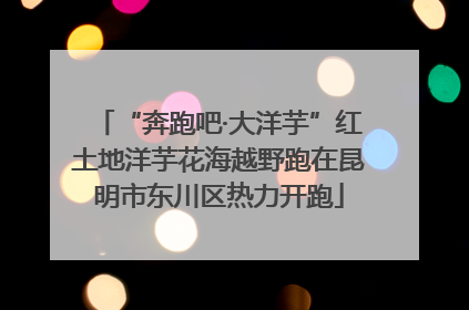 “奔跑吧·大洋芋”红土地洋芋花海越野跑在昆明市东川区热力开跑