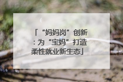“妈妈岗”创新：为“宝妈”打造柔性就业新生态