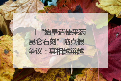 “始皇遣使采药昆仑石刻”陷真假争议：真相越辩越明｜新京报专栏