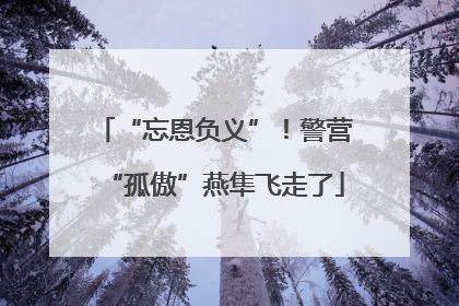 “忘恩负义”！警营“孤傲”燕隼飞走了