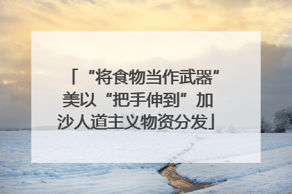 “将食物当作武器” 美以“把手伸到”加沙人道主义物资分发