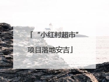 “小红村超市”项目落地安吉