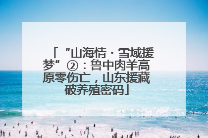 “山海情・雪域援梦”②：鲁中肉羊高原零伤亡，山东援藏破养殖密码
