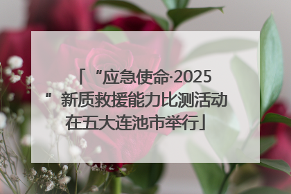 “应急使命·2025”新质救援能力比测活动在五大连池市举行