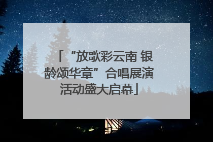 “放歌彩云南 银龄颂华章”合唱展演活动盛大启幕