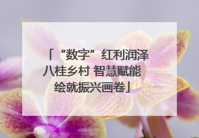 “数字”红利润泽八桂乡村 智慧赋能绘就振兴画卷