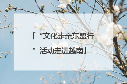 “文化走亲东盟行”活动走进越南