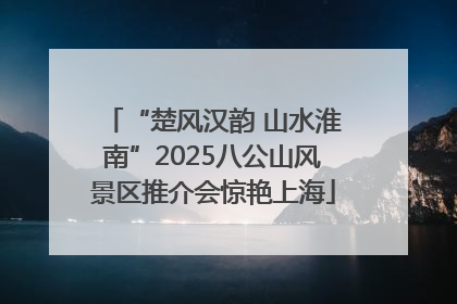 “楚风汉韵 山水淮南”2025八公山风景区推介会惊艳上海