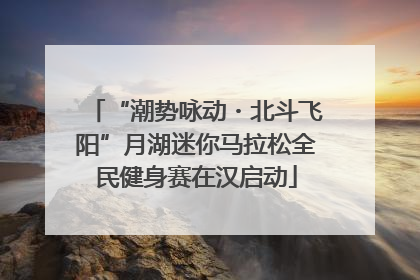 “潮势咏动・北斗飞阳”月湖迷你马拉松全民健身赛在汉启动