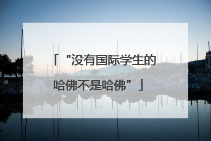 “没有国际学生的哈佛不是哈佛”