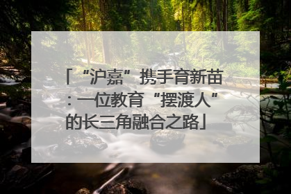 “沪嘉”携手育新苗：一位教育“摆渡人”的长三角融合之路