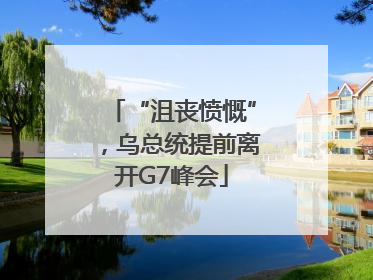 “沮丧愤慨”，乌总统提前离开G7峰会
