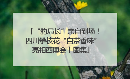 “豹局长”亲自到场！四川攀枝花“自带香味”亮相西博会丨图集