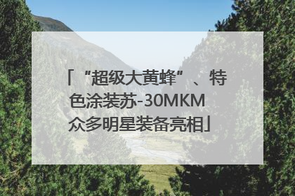 “超级大黄蜂”、特色涂装苏-30MKM 众多明星装备亮相