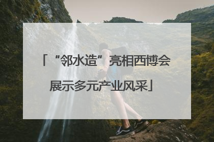 “邻水造”亮相西博会 展示多元产业风采