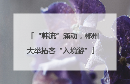 “韩流”涌动，郴州大举拓客“入境游”