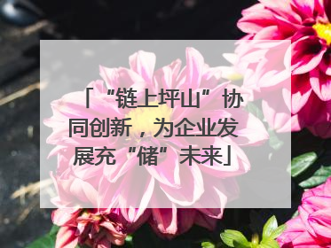 “链上坪山”协同创新，为企业发展充“储”未来