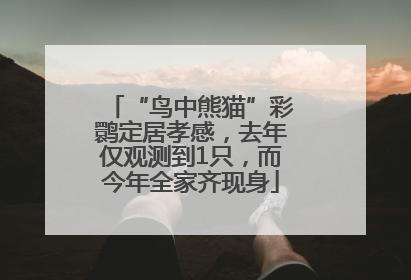 “鸟中熊猫”彩鹮定居孝感，去年仅观测到1只，而今年全家齐现身
