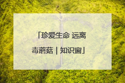 珍爱生命 远离毒蘑菇｜知识窗