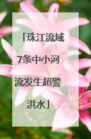 珠江流域7条中小河流发生超警洪水