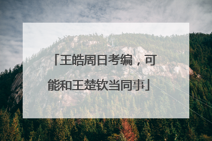 王皓周日考编，可能和王楚钦当同事