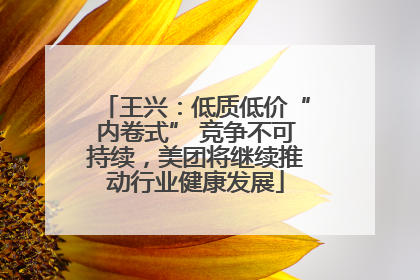 王兴：低质低价“内卷式” 竞争不可持续，美团将继续推动行业健康发展