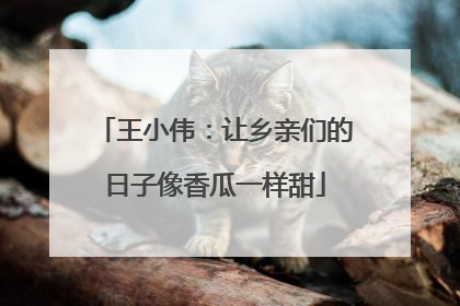 王小伟：让乡亲们的日子像香瓜一样甜
