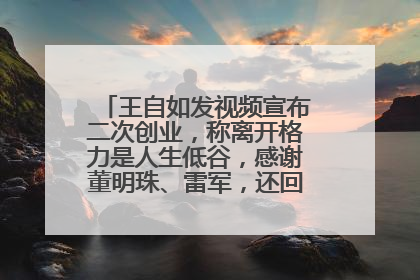 王自如发视频宣布二次创业，称离开格力是人生低谷，感谢董明珠、雷军，还回应了“工资条”：清楚自己要什么……